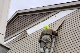 Best Aluminum Siding Installation  in Indian Hills, NV